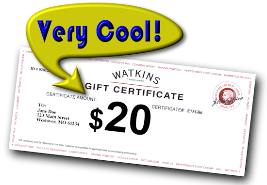 gift-certificate-$20-very-cool